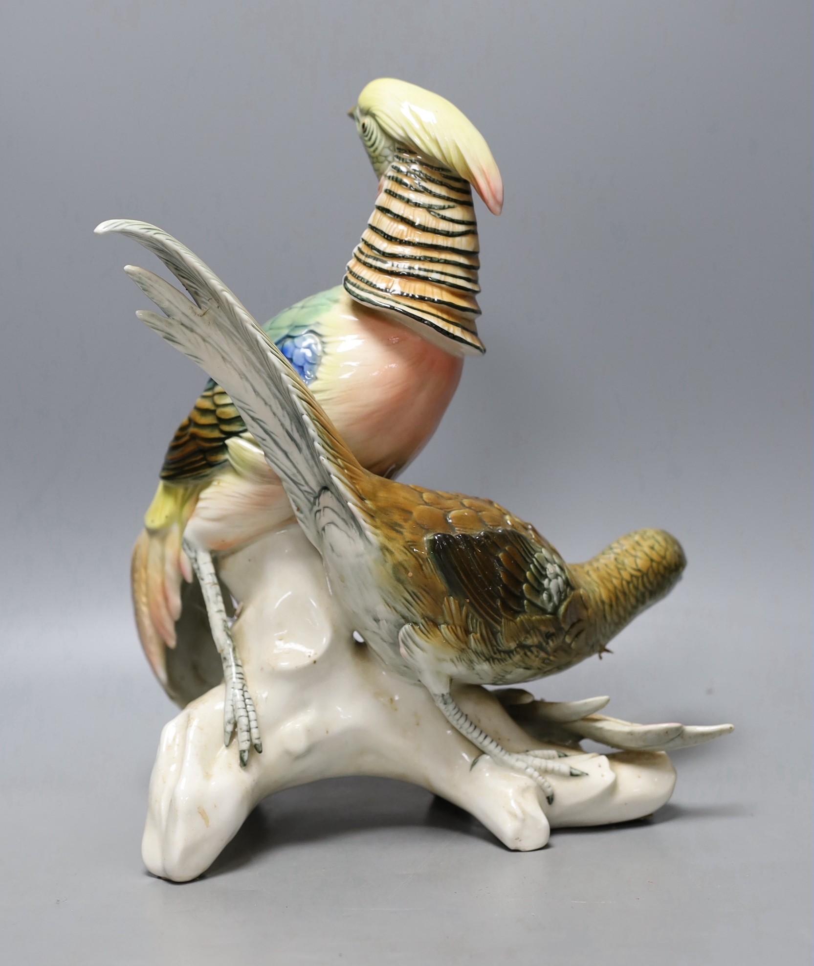A Karl Ens porcelain pheasant group, model number 7479, 30cm